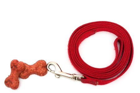 A red dog leash isolated on a white background, walking the dogの写真素材