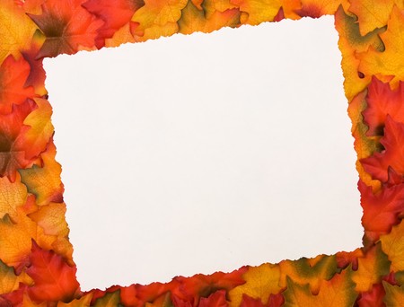 Fall leaves with a blank card for your message, Autumn messageの写真素材