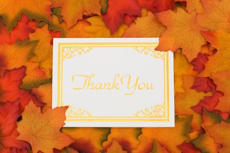 Fall Leaves with a gold thank you card, Thank youの写真素材