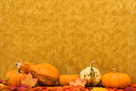 Fall leaves with pumpkins and gourds on a brown background, Fall Sceneの写真素材