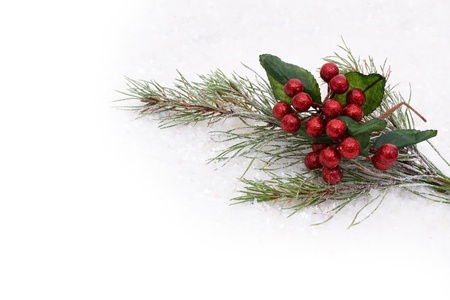 Holly and berries with a snow background, holly and berries backgroundの写真素材
