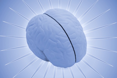 Model Brain with a blue pattern backgroundの写真素材
