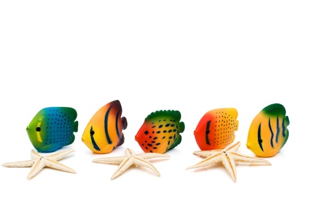 Colorful cute fishes isolated on white with starfishの写真素材