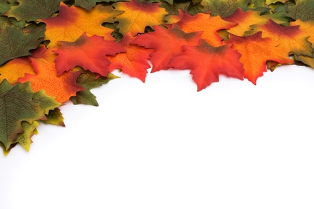 Green, orange, red leaves with some changing colors border isolated over a white background, The...