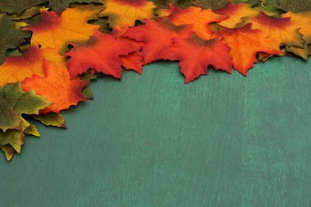 Green, orange, red leaves with some changing colors border over green grunge background, The changing of the seasonsの写真素材