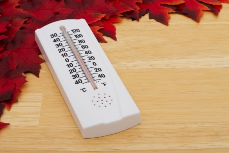 Red Autumn Leaves Background with wooden center and a Thermometer, Temperaturesの写真素材