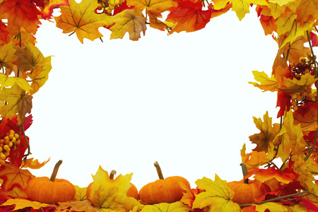 Autumn Leaves and Pumpkins Background, Autumn Leaves isolated on white with space for your message