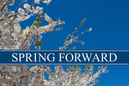 A tree in full bloom with blue sky and text Spring Forward