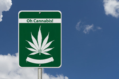 Oh Cannabis Marijuana Sign, Green and White Trans-Canada Highway Sign with Marijuana leaf in place of Maple leaf with text Oh Cannabis with sky backgroundの写真素材