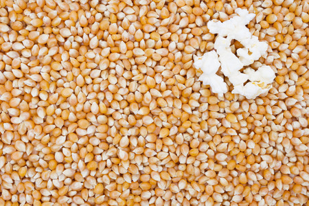 Popcorn Kernels Backgroundの写真素材