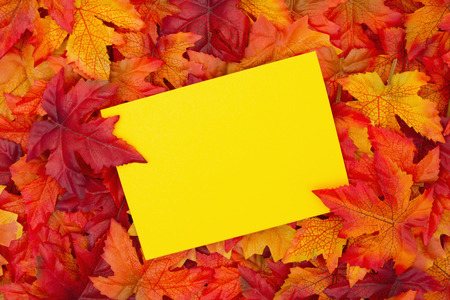 Some fall leaves with a blank yellow greeting card with copy-space for message