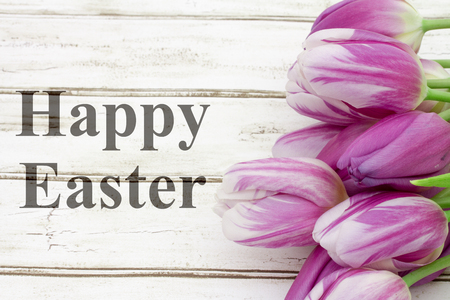 Happy Easter greeting, A bouquet of purple tulips on weathered wood  with text Happy Easterの写真素材