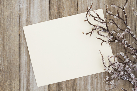 A blank greeting card with iced winter branch on weathered wood with copy space for your messageの写真素材