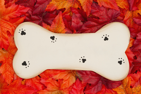 Pet message for the fall season, Some fall leaves and a wood dog bone with copy space for your messageの写真素材
