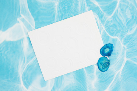 Blue scallop seashells with a blank white greeting card you can use as a mockup for your seaside or beach message or invitationの写真素材