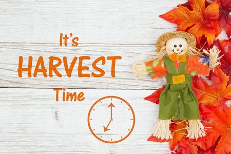 Harvest time message with red and orange fall leaves with a scarecrow and clock on weathered...