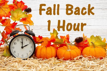 Fall Back 1 hour time change message with a retro alarm clock with orange pumpkins with fall leaves...