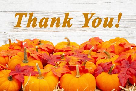 Thank you message with orange pumpkins with fall leaves on straw hay with weathered whitewash woodの写真素材