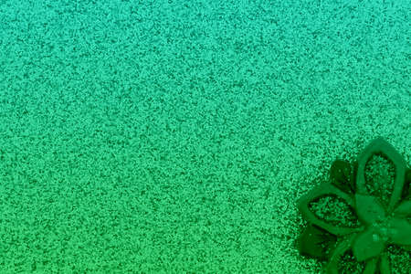 Green poinsettia with silver glitter paper background with copy space for your Christmas or holiday messageの写真素材