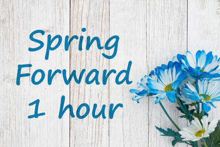 Spring forward 1 hour daylight savings time message with blue daisies bunch of flowers on a...