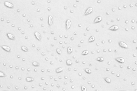 Gray splatter drops and swirl background for a backdrop or texture