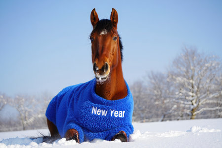 Year of the Horse, Red Fire Horse symbol of 2026, red horse, orange beautiful horse running forward, concept of freedom of life pleasure, Illustration, drawing. High qualityの素材