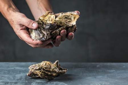 Fresh raw oysters in man hands on dark bakgroundの写真素材