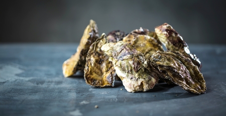 Fresh raw oysters in man hands on dark bakground