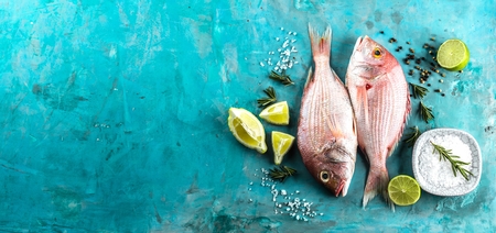 raw sea bream fish dorado in ice on market with copy space, top viewの写真素材