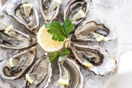 beautiful appetizer oysters on black stone background.