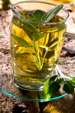 Sage tea and sage leaves. Infusion made from sage leaves. Medicinal herb Salvia officinalis.の写真素材