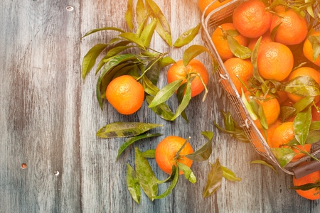 Fresh picked mandarins on wooden background closeupの写真素材