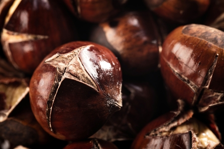 Roasted chestnuts served in a special perforated chestnut pan on an old wooden tableの写真素材