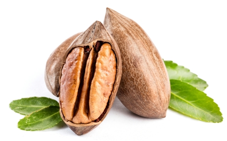 Pecan nuts on a white table isolated closeup