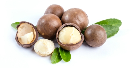 Macadamia nuts isolated on white background clouseupの写真素材