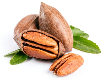 Pecan nuts on a white table isolated closeupの写真素材