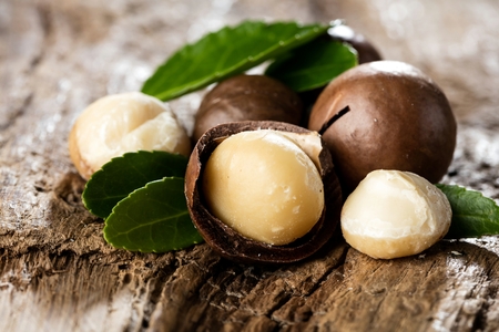 Macadamia nuts on brown wooden background closeupの写真素材