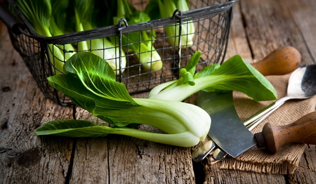 Vegetable assortment, fresh green Chinese cabbage, bok choy, pok choi or pak choi on dark backgroundの写真素材