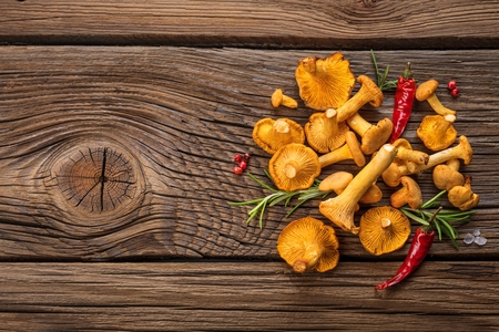 Yellow chanterelle mushrooms on rustic wooden backgroundの写真素材