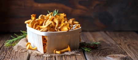 Yellow chanterelle mushrooms on rustic wooden backgroundの写真素材