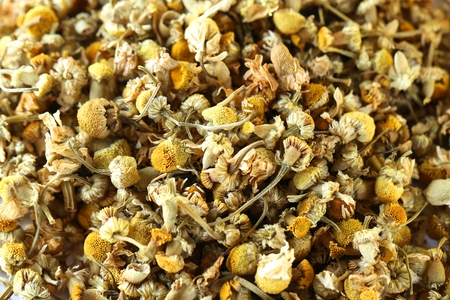 Dried chamomile buttons isolated on white backgroundの写真素材