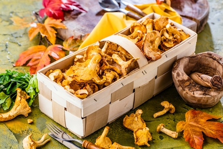 Raw wild mushrooms chanterelles in basket with dill on wooden backgroundの写真素材