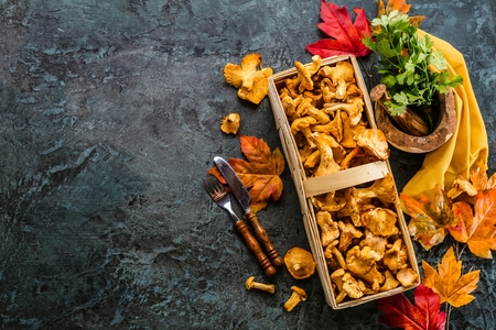 Raw wild mushrooms chanterelles in basket with dill on wooden backgroundの写真素材