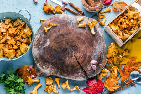 Raw wild mushrooms chanterelles in basket with dill on wooden backgroundの写真素材