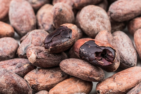 cocoa bean with leaf isolated on white background top view.