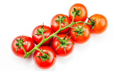 Tomato. Tomato branch. Tomatoes isolated on white. With clipping path. Full depth of field.の写真素材