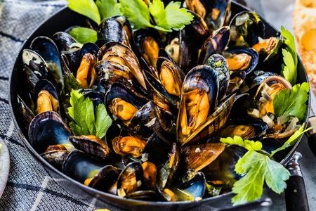 Steamed mussels in white wine sauce on dark Tableの写真素材