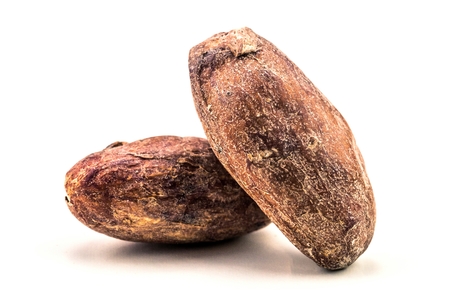 cocoa bean with leaf isolated on white background top view.