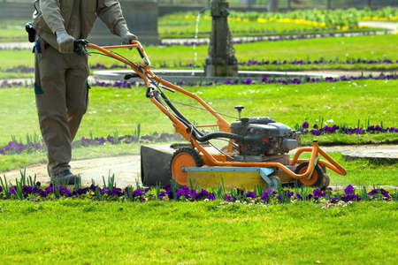 Process of lawn mowing, concept of mowing the lawn, lawnmower cutting grass with gardening tools.の写真素材