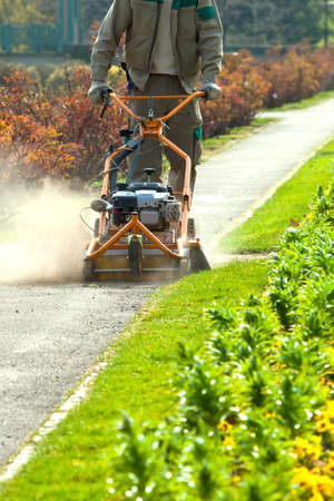 Process of lawn mowing, concept of mowing the lawn, lawnmower cutting grass with gardening tools.の写真素材